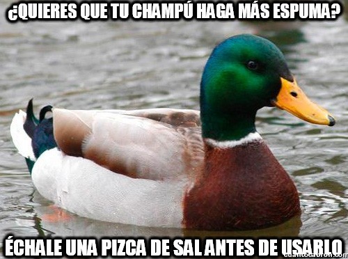 que-es-vivir-o-morir:  soy-un-gato-negro:  pillositio:  Consejos para una vida mejor  XD me lo dijo un pato :v  El pato sabeeeee