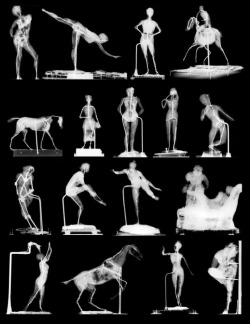 dappledwithshadow:  Selected radiographs of Edgar Degas wax sculptures at the National Gallery of Art in Washington revealing a variety of armatures. 