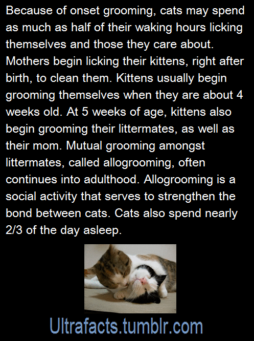 ultrafacts:  greatfulldedd:  greenglassapple:  ultrafacts:  Source: 1 2 If you want more facts, follow Ultrafacts  What a wonderful life.    
