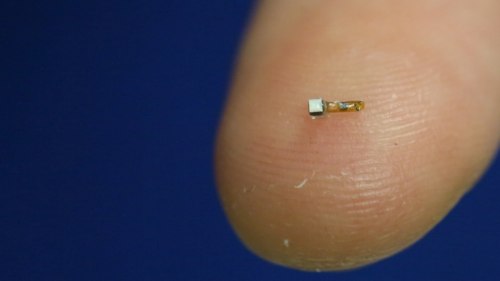 appliedtechnotopia-consulting:  realcleverscience:  futuristech-info:  VIDEO: Tiny dust-sized sensor could be the future of brain-machine interfaces - “Neural Dust”     This is pretty awesome. After the IOT (internet-of-things), we’ll have the next