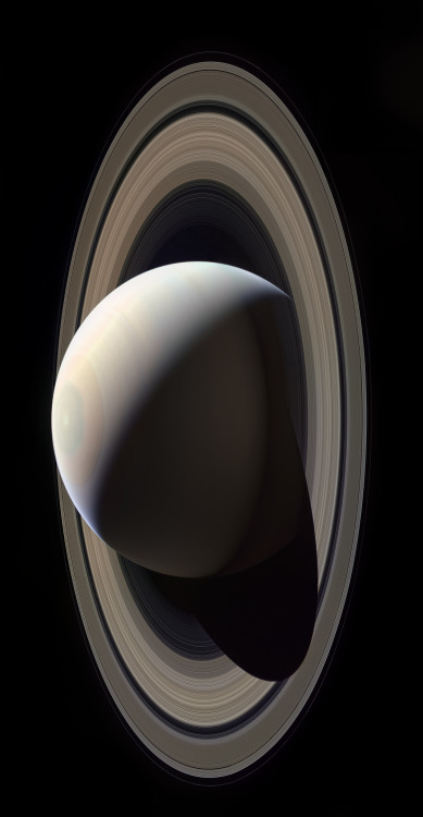 wonders-of-the-cosmos:Image of Saturn taken by Cassini spacecraft in October 28, 2016.Credit: NASA/J