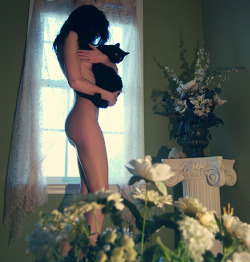 Animalsweetlove:black Cat By Jennakellen 