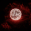moonandstarshangoutinbars