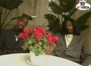 90shiphopraprnb:2Pac & Snoop Dogg (1996)