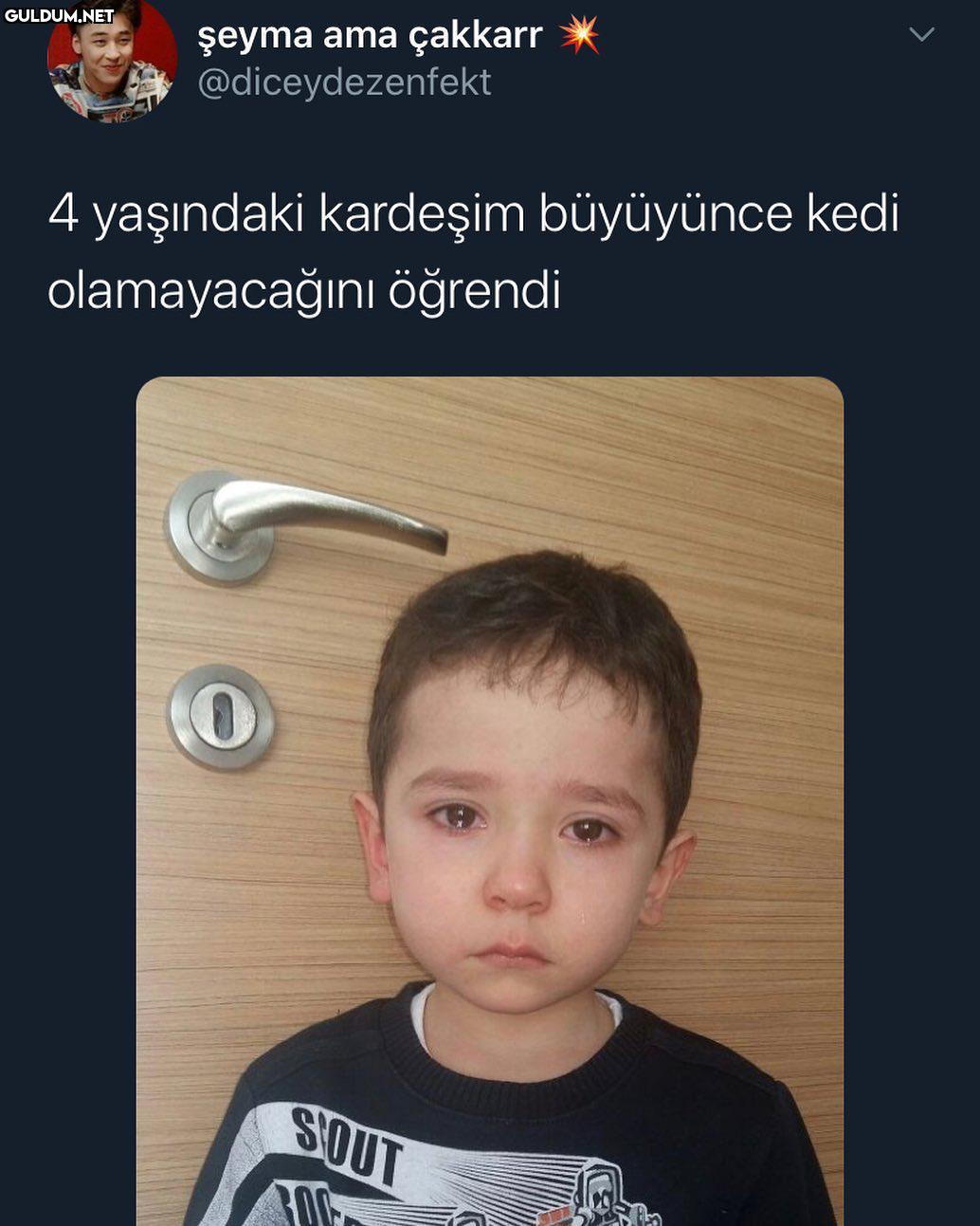 nası ya bu gerçek mi kedi...