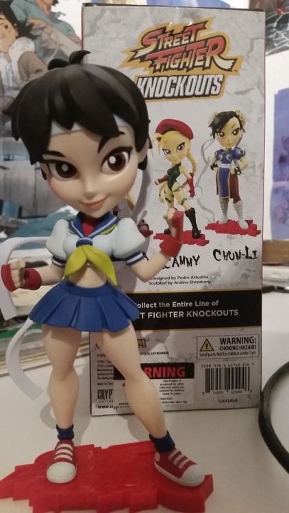 eyzmaster: Cool new addition to the collection - Street Fighter KnockOuts - Sakura!! Added her next to a few other similar ones for scale. She’s BIGGER than expected! Now, can they do my other favorite SF gals, please?? Ibuki, Makoto, Juri.. heck give