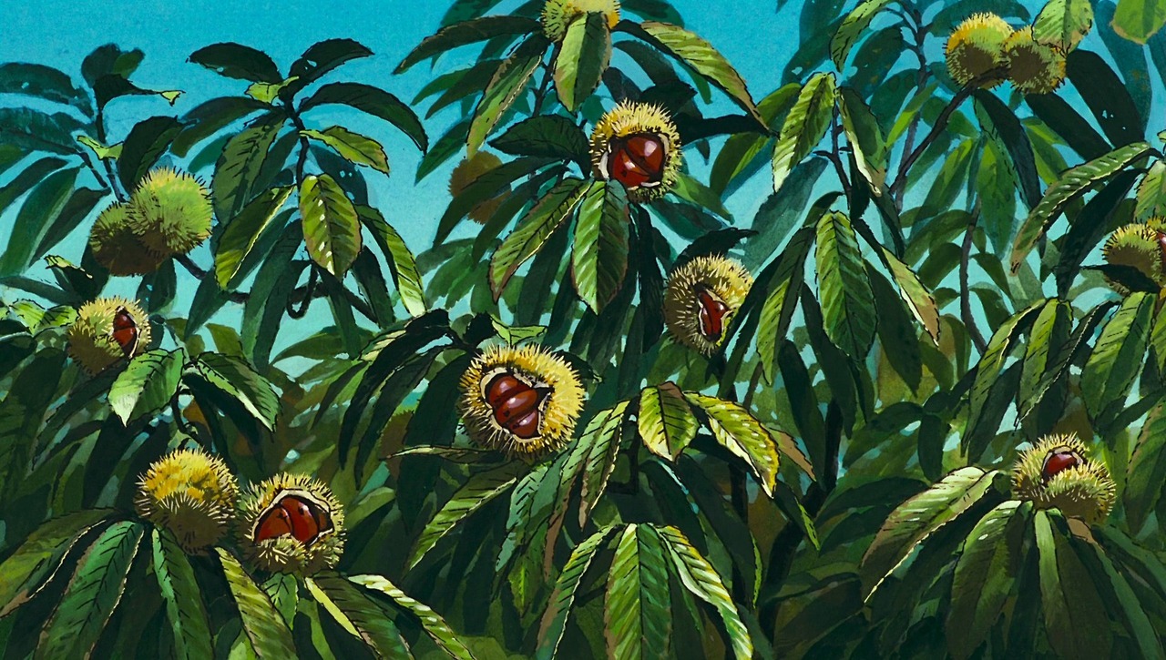 ghibli-collector:Nature - Art direction Kazuo Oga - Studio Ghibli’s Pom Poko -