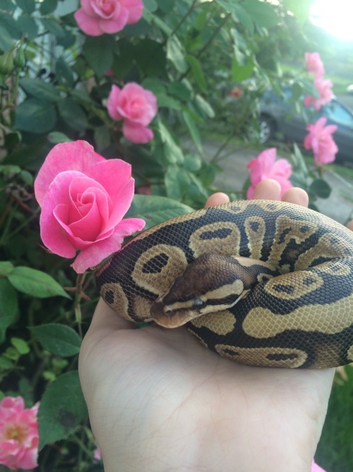 naga-and-me:My beautiful child
