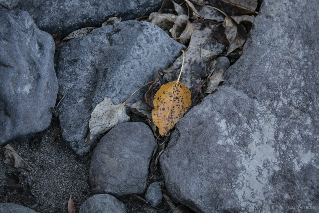 Scenes from Autumns past: (c) riverwindphotography