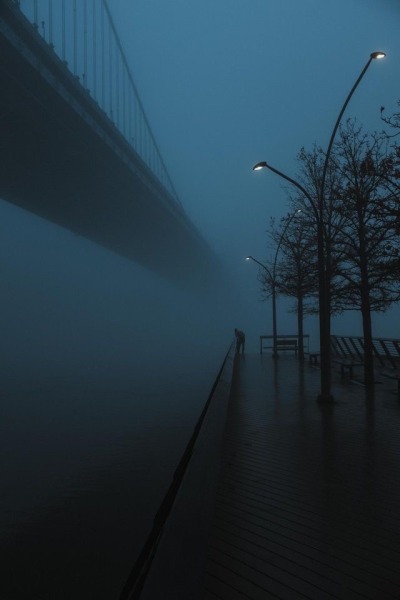 Porn limerencey:blue grey fog on a winter evening photos