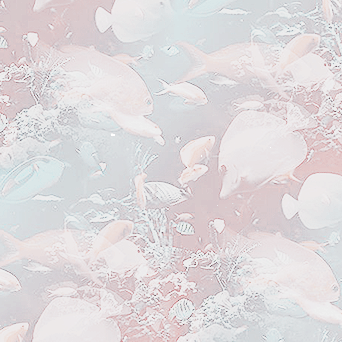 goldentailedmermaids:—   j e l l y f i s h    m e r m a i d s