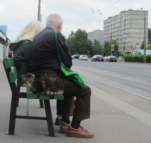 Bus stop on Augusta Deglava iela, Riga