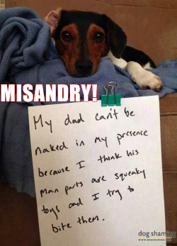 misandrymcboint:  Fine canine misandry 