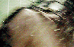 ashleywbenson:  “It literally makes me want to scream”Okay, then scream. Lydia scream!  