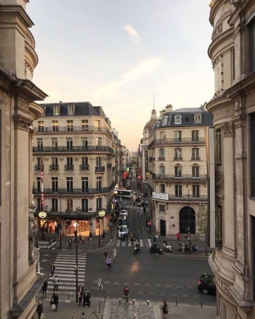 June, Cats And Paris.
