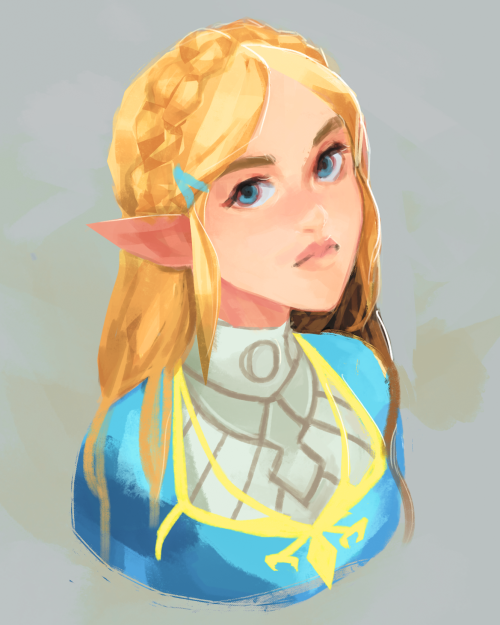 I just love how she looks in botw~