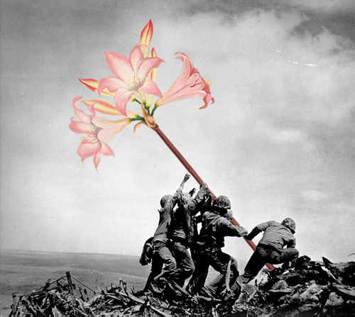 temperatura39:  Flowers Replace Guns in Historic Photo Collages by Blick  French creative Blick crea