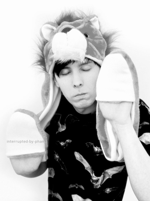 interrupted-by-phan:  Llama Hat & Lion Hat [x] [x] 