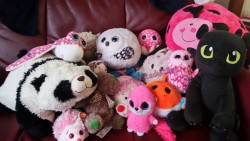 I thought I would let everyone meet *some* of my stuffies! From bottom left to right: There&rsquo;s Mrs. Prickles, Rain, Strawberry, Hailz, Nemo, Toothless, Bamboo, Douglas, Thoughtful, Gizmo, Pepper, Winter, Snowball, Ollie, BPP (Big Pink Pig) and Lady.