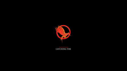 Catching Fire LogoCatching Fire LogoView Post