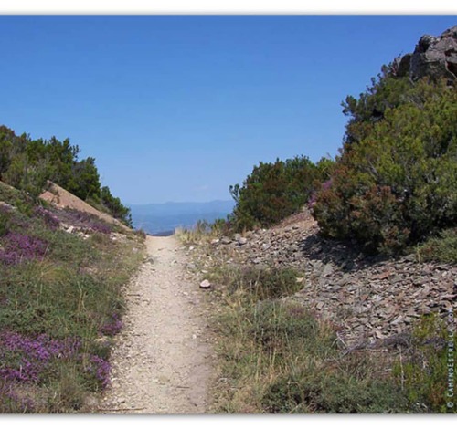 Crossing the galician mountains on the Camino de Santiago. Visit my shop for Camino de Santiago Art 