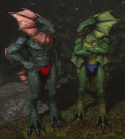 Just two lizardmen from the jungles, it’s a hot humid climate, so those garments are both their outer and underwear(Request done by Kingdude84)