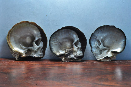 punk-arts:  Mother of Pearl Skulls 