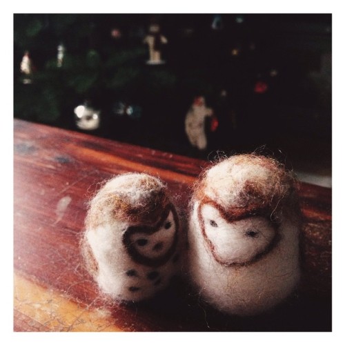 taught myself how to needle felt last night and soon I will have so many felt barn owls. #craftig #c