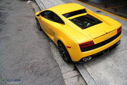 automotivated:  Gallardo LP550-2 by RGF Photography on Flickr.