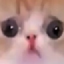 thevyladsafespace