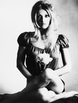 simply-sharon-tate:  Sharon Tate for Valley of The Dolls, 1967