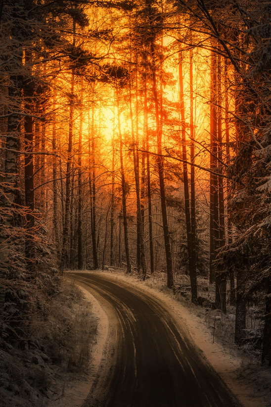 lsleofskye:  Shining Through