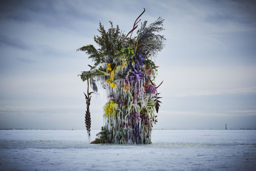 itscolossal: A Frozen Installation by Makoto Azuma Preserves a Vibrant Floral Arrangement in Ice