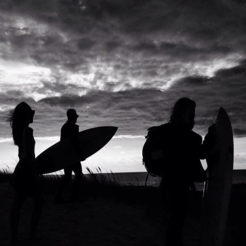 surf vibes