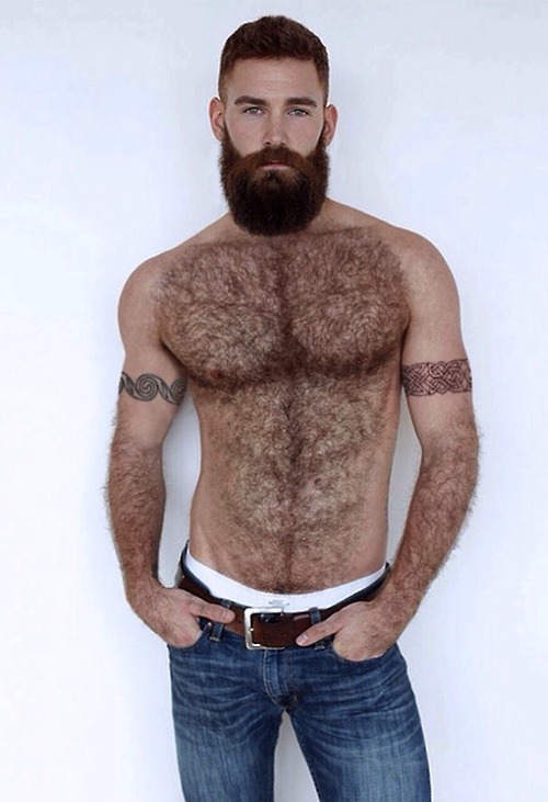  SEXY HANDSOME MAN  perfect beard manly hairy body 