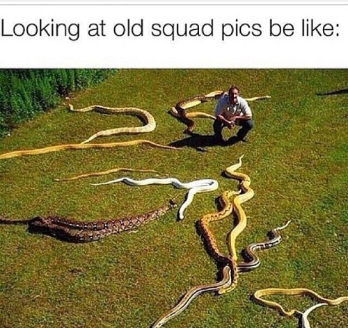 ji-bril:  funniest thing is when i first saw this post i didnt get it, and i was like ok cool theres some snakes, but it hit me like 3 weeks later and i was like “ok yeah tru, i can relate” 