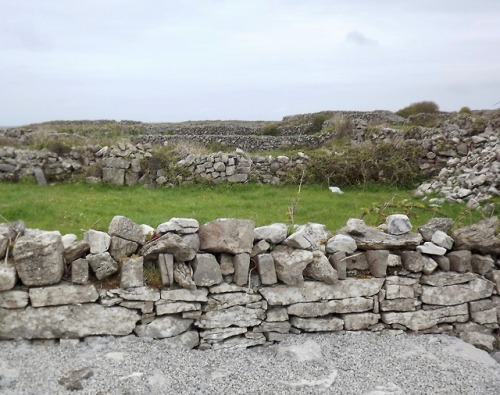 Stone Walled Paddock, Inishmore, Aran Islands, County Galway, Ireland, 2013.See the article about th