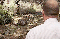 melharington:RIP Terry Bellefleur