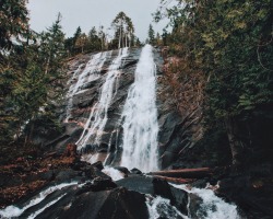 photosbygriffin:  Bridal veil. 