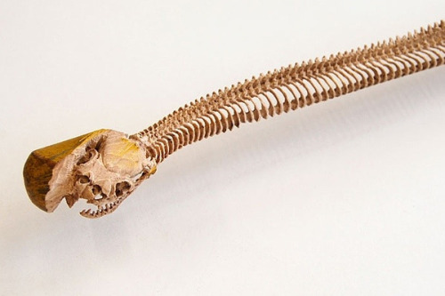 veralynn23:  Maskull Lasserre - Anatomical Sculptures 