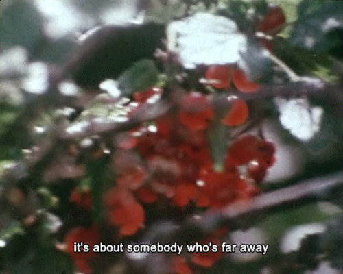 365filmsbyauroranocte: Reminiscences of a Journey to Lithuania (Jonas Mekas, 1972)