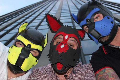 Human Pups Paris Style… (loving the neoprene hoods!)You can learn more about human pup play here: http://SiriusPup.net http://TheHappyPup.com http://PupSafeProject.org 