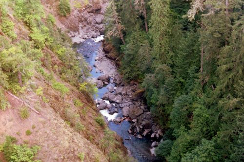 The Skokomish River and the Olympic National Forest in Washington.Canon AE-1