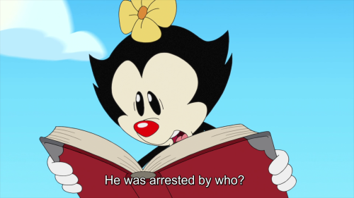 rbooknerdk:Animaniacs woke up after a 22 year nap and chose violence