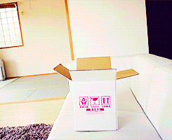 piglet-lifts:  -everdeen:  A box and Maru [x]  I need a Scottish fold in my life. They are so derpy and cute.Kay I’ll stop spamming you all now.