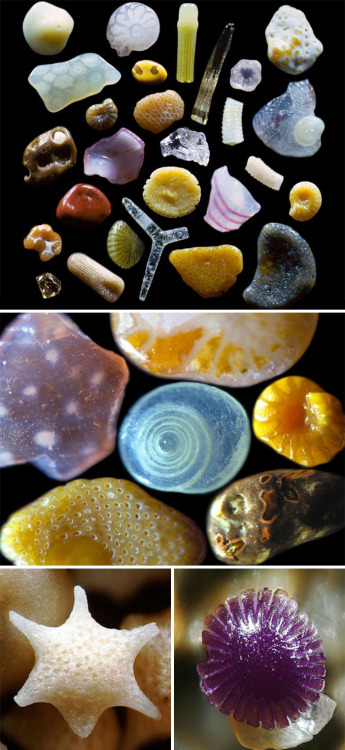 these are grains of sandhttp://www.sandgrains.com/artist.html