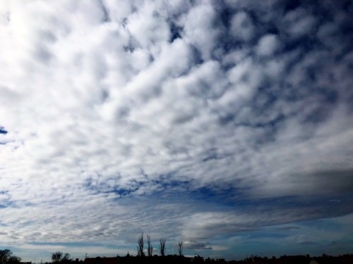 Himmel über Steglitz - 3. April 2018, 11:48h