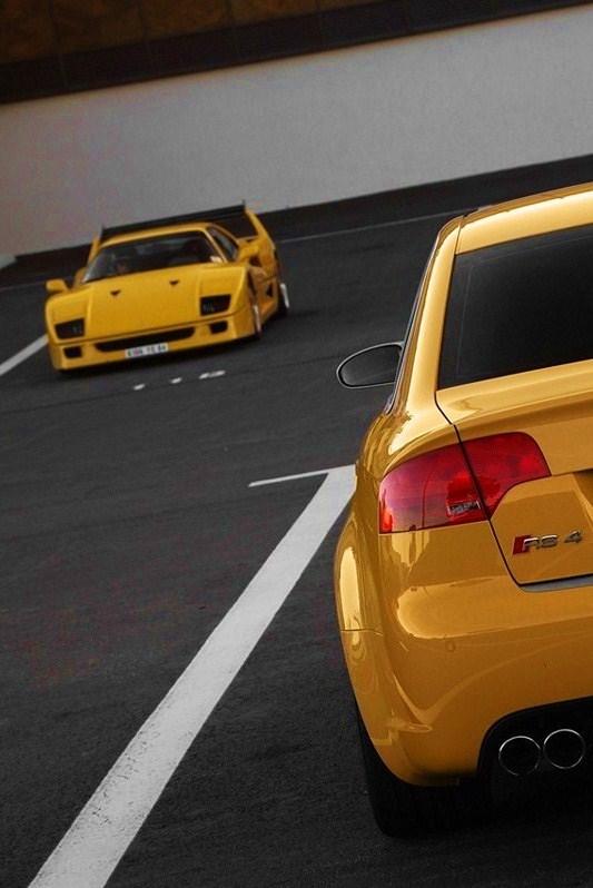 myheartpumpspetrol:  Bumble Bee &amp; Wasp | Source
