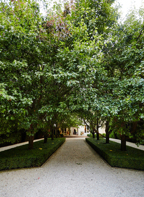 Gardens, balconies and courtyards: how to master greenery at home - Vogue Living 