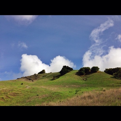 Beauty of a day in Northern California. #blue #sky #green #hills #emerald #landscape #nature #home #terralinda #sanrafael #marin #northbay #california (at Terra Linda / Sleepy Hollow Divide)